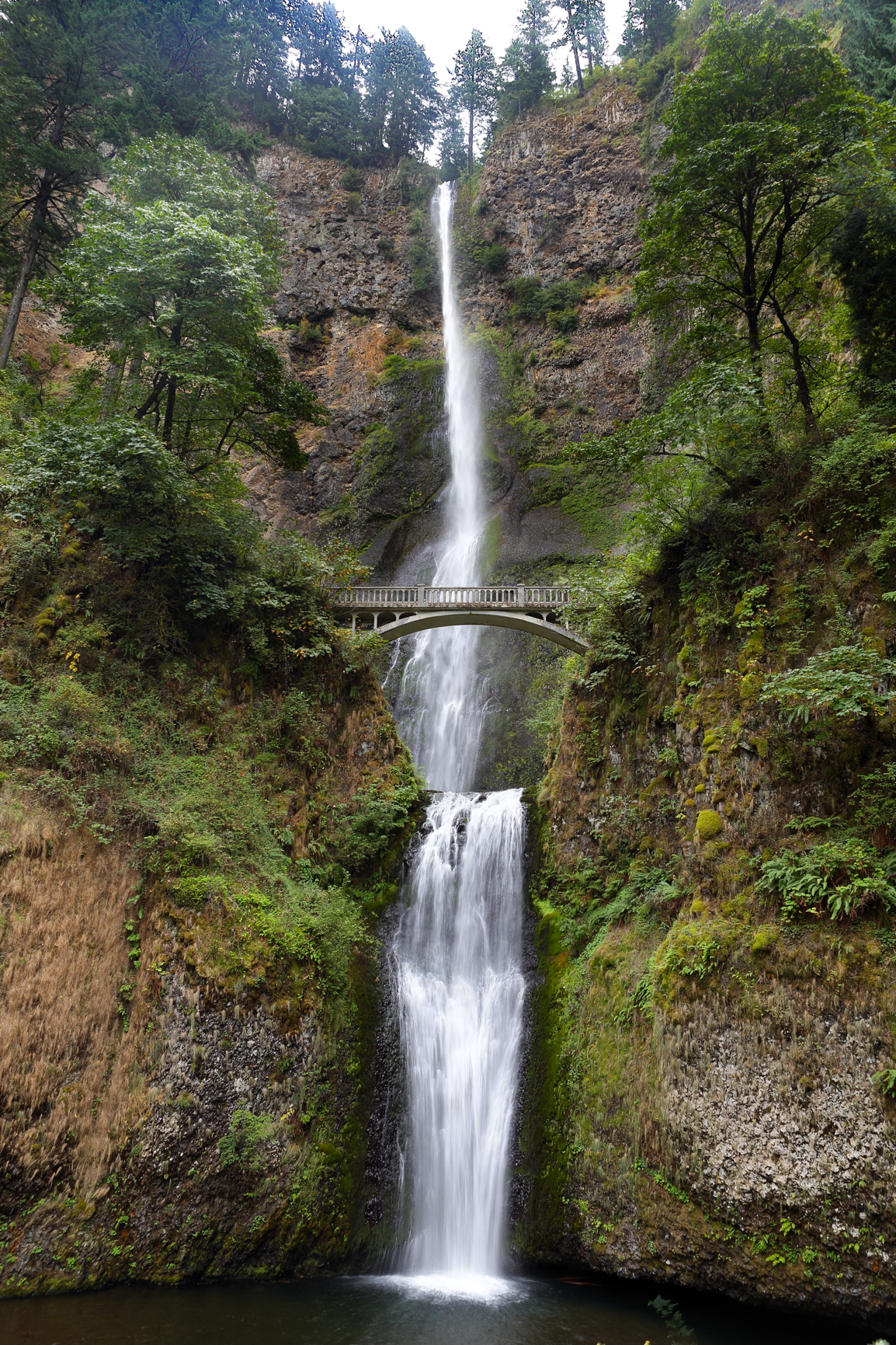 2013 Pacific Northwest