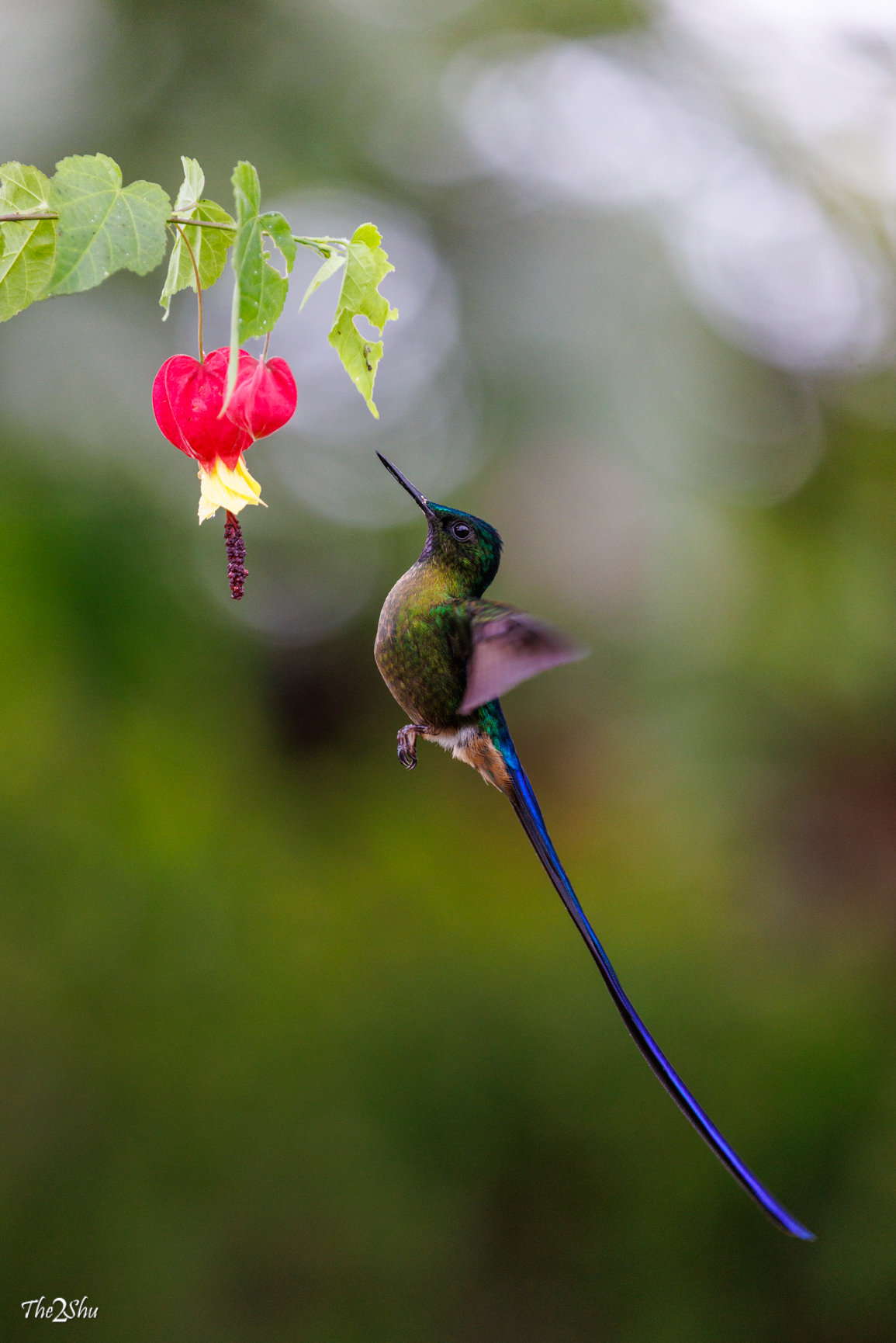 2025 – Ecuador and Galapagos